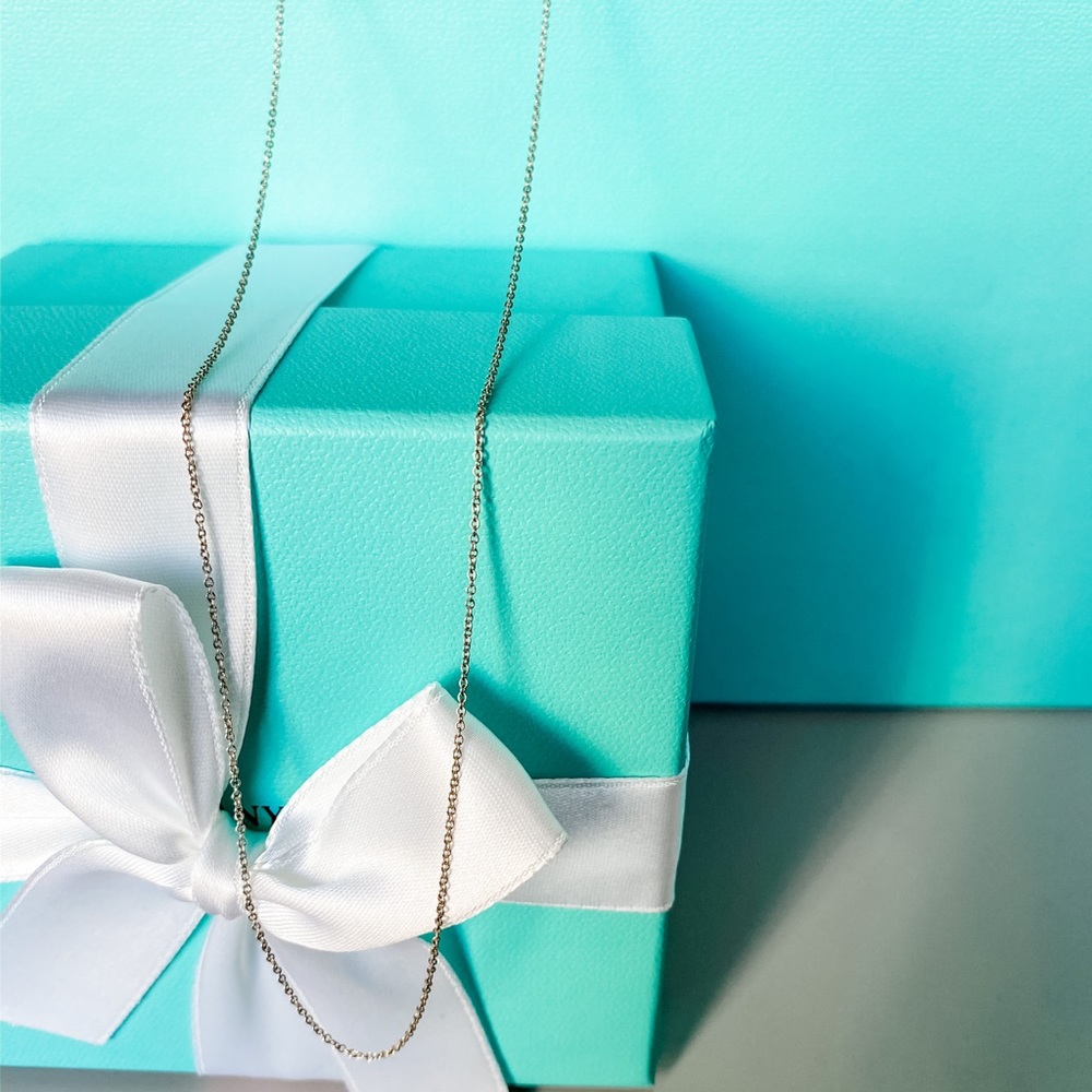 Tiffany & Co. 30” SS Pendant Chain